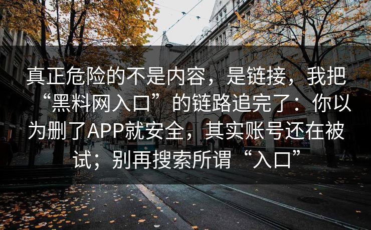 真正危险的不是内容，是链接，我把“黑料网入口”的链路追完了：你以为删了APP就安全，其实账号还在被试；别再搜索所谓“入口”